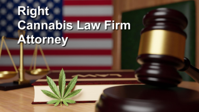 Cannabis Law Firm Attorney