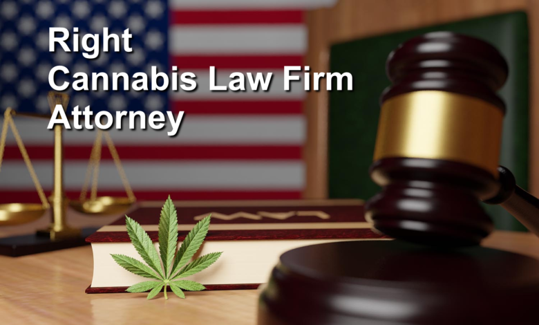 Cannabis Law Firm Attorney